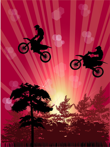 ciclistas sobre árboles
 - Vector, imagen