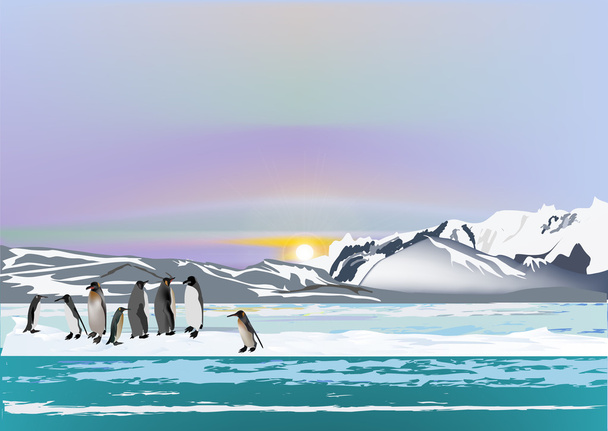 pingüinos en hielo - Vector, imagen