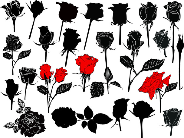 schwarze und rote Rosen - Vektor, Bild
