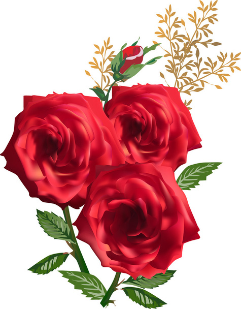 Τρία κόκκινα τριαντάφυλλα και οφθαλμός - Διάνυσμα, εικόνα