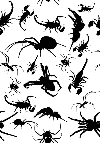 background from  spiders and scorpions - Vector, Image