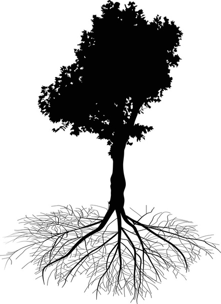 black tree with root - Vector, Image