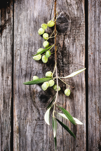 Green olive branch - Φωτογραφία, εικόνα