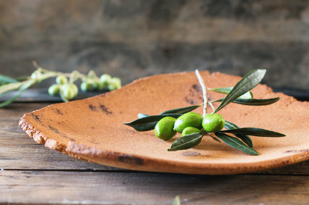 Green olive branch - Фото, зображення