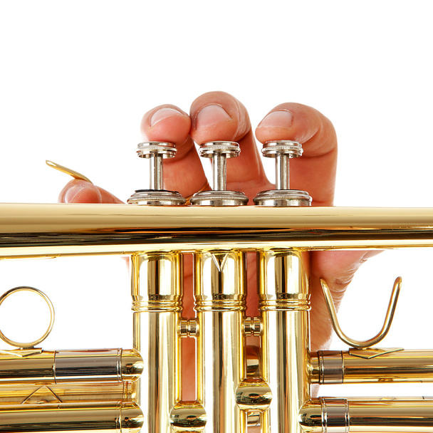 Close-up view of man's fingers as he plays trumpet - Fotografie, Obrázek