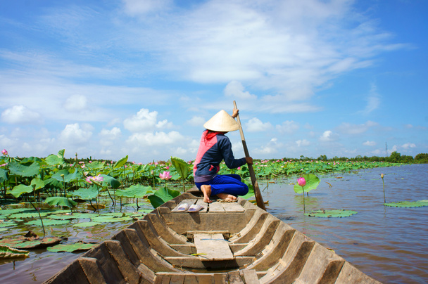 ベトナムの村行ボート、蓮の花、蓮の池 - 写真・画像