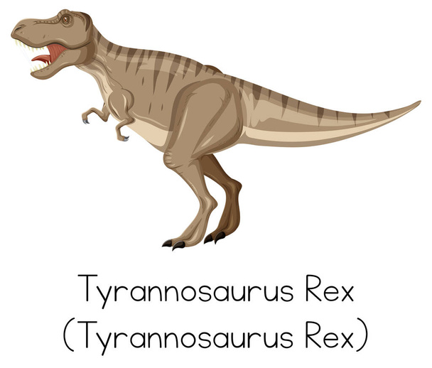 Тираннозавр Рекс ревет на белом фоне иллюстрации - Вектор,изображение