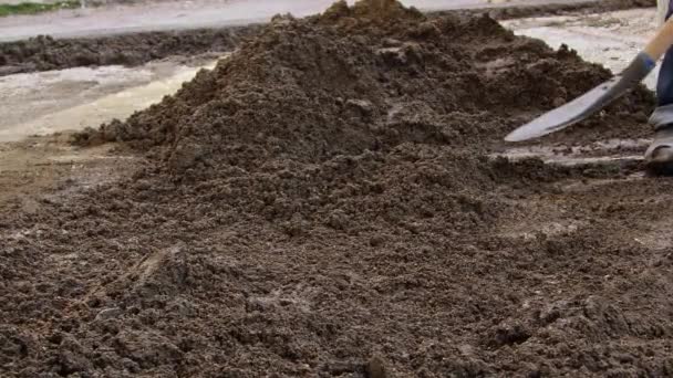Een bouwer schoppen zand in het werkgebied Beelden. - Video