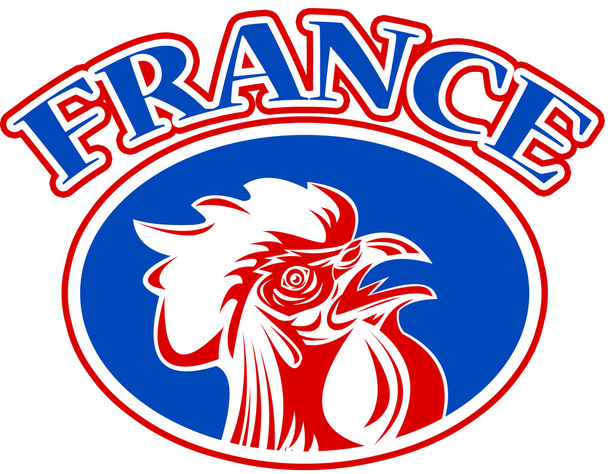 Mascotte de Rugby coq france
 - Photo, image