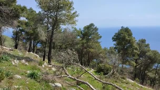 Massa Lubrense, Campania, Olaszország - 2022. március 20.: Áttekintés a Punta Campanella-tól San Costanzo remetelakjáig vezető erdei ösvényre - Felvétel, videó