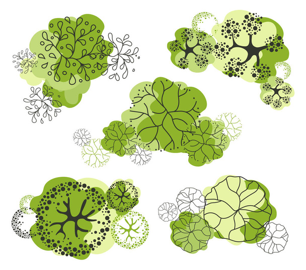 Trees for the master plan. Tree for architectural floor plans. Entourage design. Various trees, bushes, and shrubs, top view for the landscape design plan. Vector illustration - Vecteur, image
