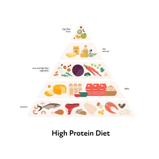 Koncept průvodce jídlem. Vektorová plochá moderní ilustrace. Infografická pyramida s vysokým obsahem bílkovin a etiketami. Barevné potraviny, olej, maso, zelenina, ryby a mléčné ikony sada izolovaných na bílém pozadí. - Vektor, obrázek