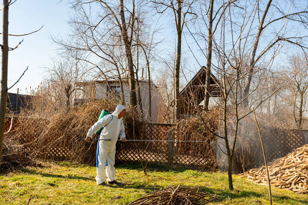 Farmer in protective clothing sprays fruit trees in orchard using long sprayer to protect them with chemicals from fungal disease or vermin at early springtime. - Foto, immagini