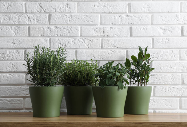 Different aromatic potted herbs on wooden table near white brick wall - Foto, Imagem