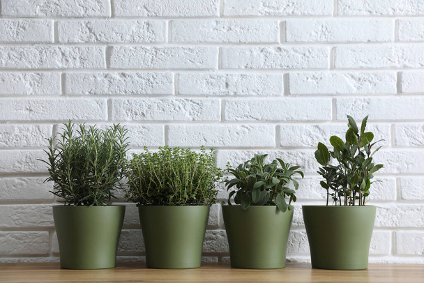 Different aromatic potted herbs on wooden table near white brick wall - Photo, Image