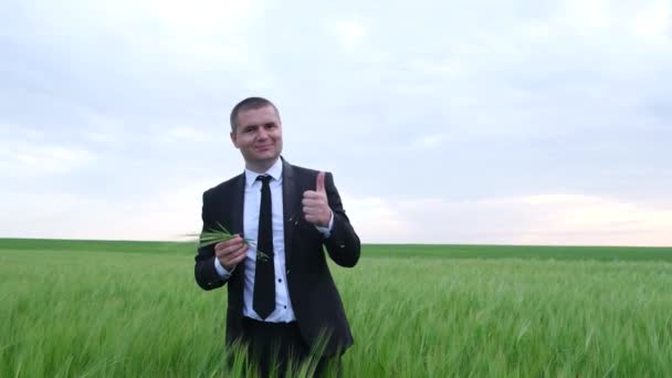 Farmář nebo agronomista stojí uprostřed mladé pšenice na poli a dívá se do kamery - Záběry, video