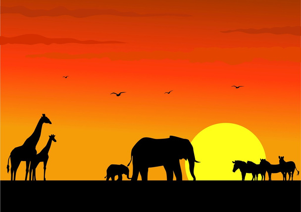 Afrikanische Tiersilhouette - Vektor, Bild