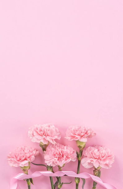 Beautiful fresh blooming baby pink color tender carnations isolated on bright pink background, mothers day thanks design concept,top view,flat lay,copy space,close up,mock up - Fotografie, Obrázek
