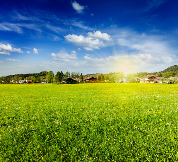 Campo campo prado com sol e céu azul
 - Foto, Imagem