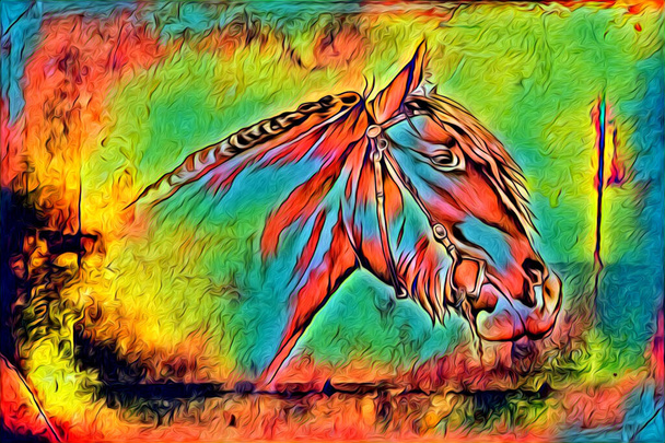 freehand kůň hlava tužka kreslení ilustrátor grunge - Fotografie, Obrázek
