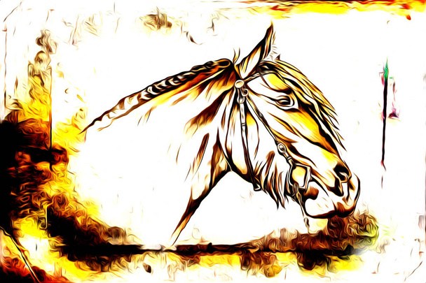 tête de cheval à main levée crayon dessin illustrateur grunge
 - Photo, image
