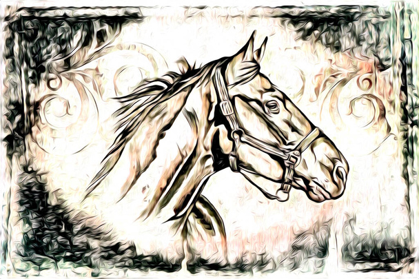 mão livre cavalo cabeça lápis desenho ilustrador grunge
 - Foto, Imagem