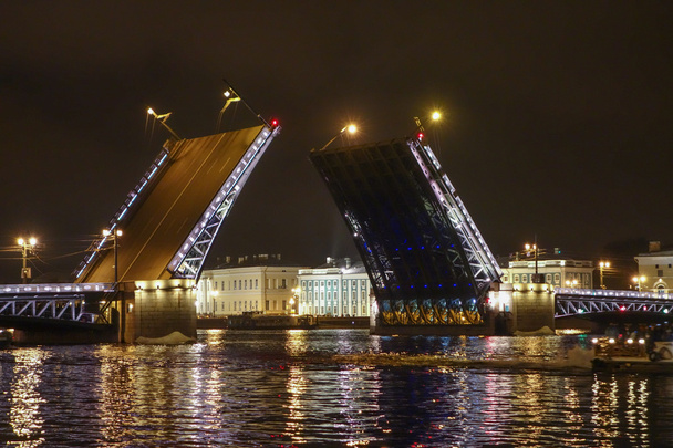 Palace Bridge w St Petersburg Rosja - Zdjęcie, obraz