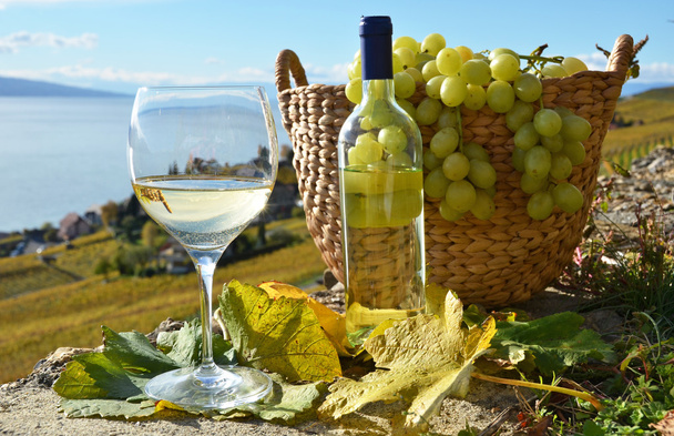 Wine and grapes at Switzerland - Photo, Image
