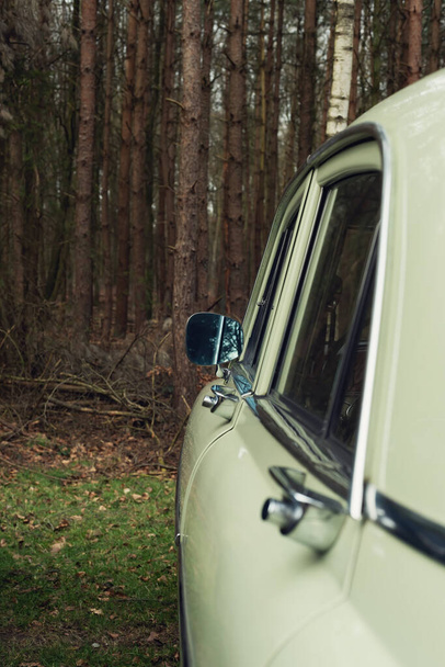 Klasszikus 1960-as évekbeli világoszöld autó fenyőerdő mellett. - Fotó, kép