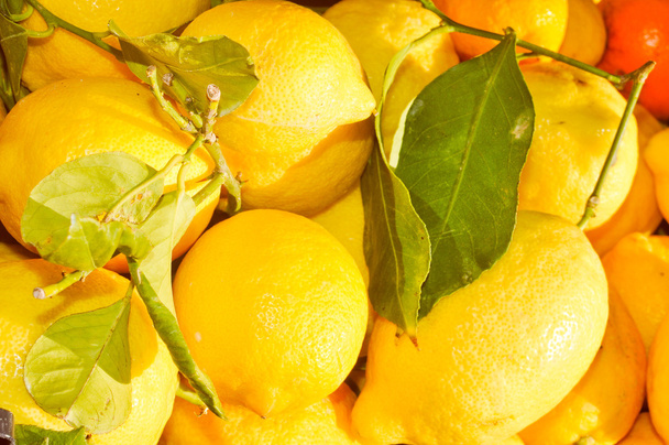 citroen vruchten - Foto, afbeelding