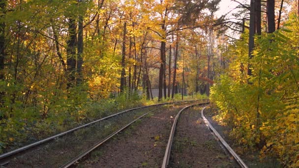 Tramvaj v podzimním lese - Záběry, video