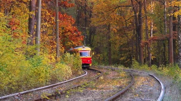 Straßenbahn im Herbstwald - Filmmaterial, Video