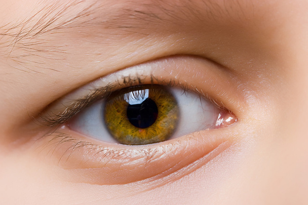Eye closeup - Photo, Image