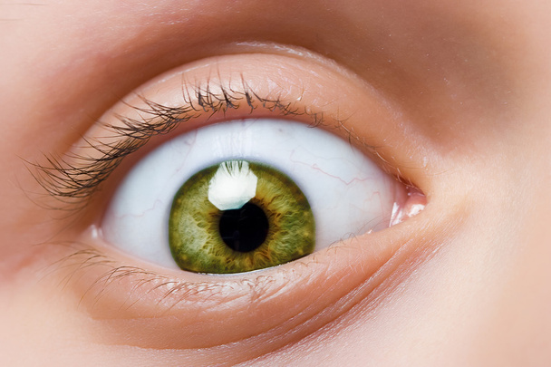 Eye of a human - Photo, Image
