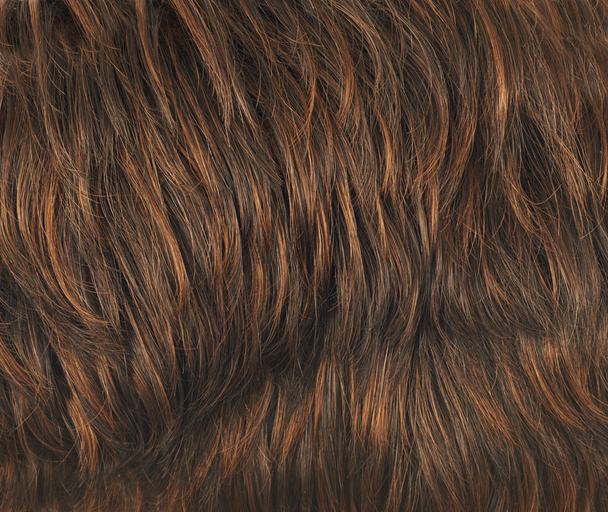 saç parçası - Fotoğraf, Görsel