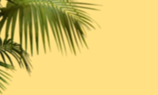 groene palm bladeren schaduw op gele bloemen achtergrond zomer sjabloon kopiëren ruimte banner zon licht  - Foto, afbeelding
