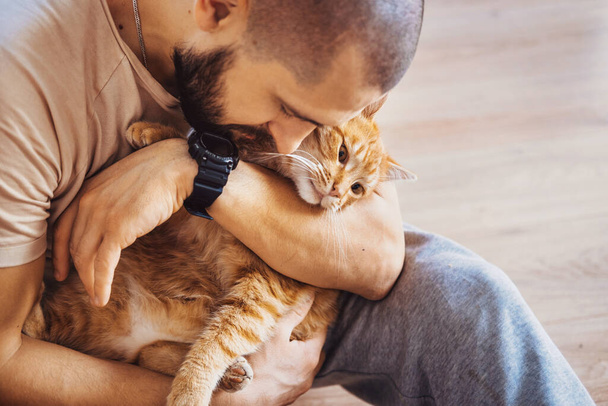 男は彼のかわいい生姜猫を抱っこし、ペットは幸せで眠いです。愛らしいペット。手を握って. - 写真・画像