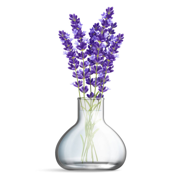 Glass Vase With Bunches Of Lavender - Vektor, kép
