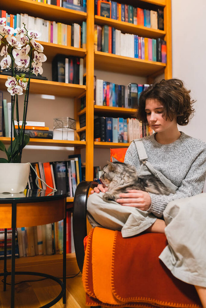Attraente ragazza adolescente con i capelli ricci, in abiti casual, si siede in comoda sedia e abbraccia pet gatto domestico grigio, a casa vicino alla libreria.  - Foto, immagini
