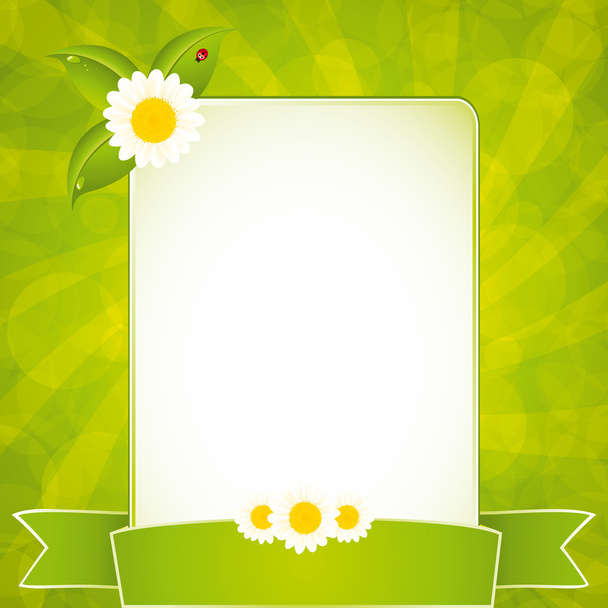 Green eco frame - Вектор,изображение