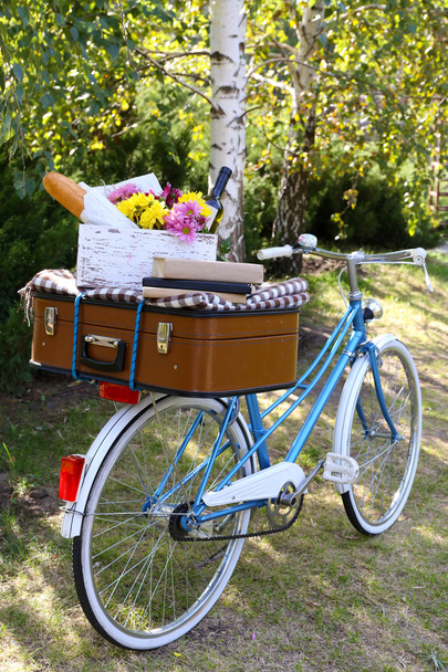Bicycle and brown suitcase - Foto, Imagem