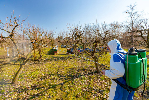 Landwirt in Schutzkleidung besprüht Obstbäume im Obstgarten mit langen Sprühgeräten, um sie im zeitigen Frühjahr in der Nähe von Bienenvölkern, Bienenständen mit Chemikalien vor Pilzkrankheiten oder Ungeziefer zu schützen. - Foto, Bild