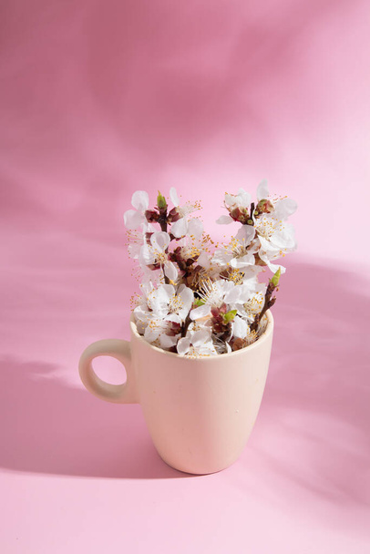 Spring abstract composition cup with sprigs of spring flowers on a pink background. - Photo, image
