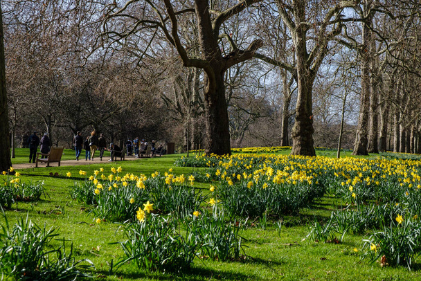 St James 'Park, Londres, Inglaterra, Grã-Bretanha - Foto, Imagem