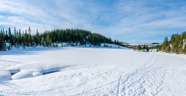 Winter landscape in snow covered Bymarka nature reserve in Trondheim, Norway - 写真・画像
