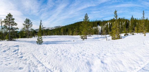 Winterlandschaft im schneebedeckten Bymarka-Naturschutzgebiet in Trondheim, Norwegen - Foto, Bild