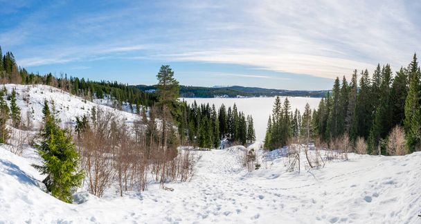 Winter landscape in snow covered Bymarka nature reserve with view of frozen lake Skjellbreia near Trondheim, Norway - Photo, image