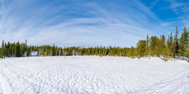 Winter landscape in snow covered Bymarka nature reserve in Trondheim, Norway - Foto, imagen