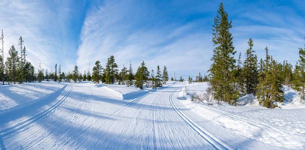 Winter landscape in snow covered Bymarka nature reserve in Trondheim, Norway - Valokuva, kuva