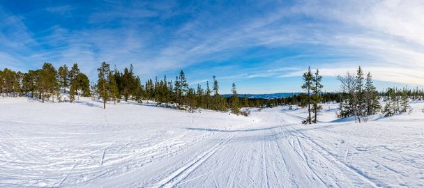 Winter landscape in snow covered Bymarka nature reserve in Trondheim, Norway - Photo, image